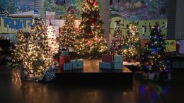 Airdrie Festival of Trees 2016